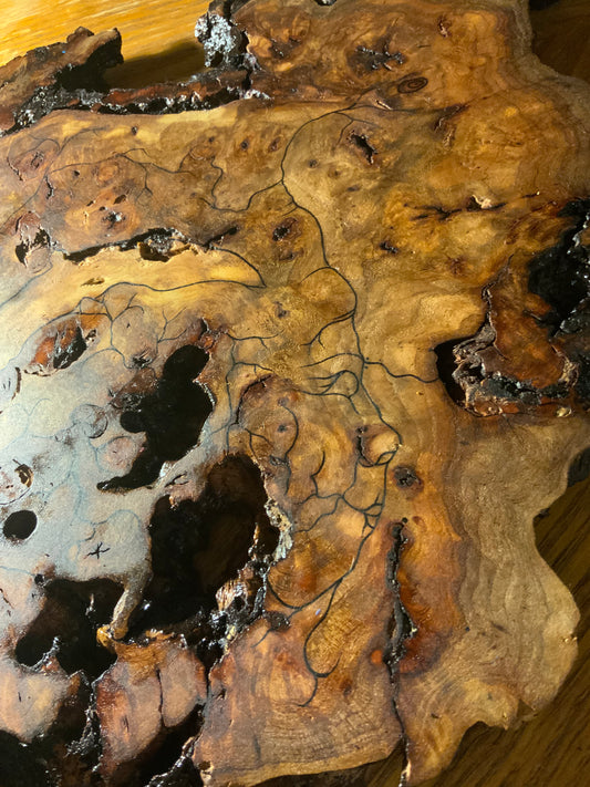 “Spiral Into The Heart” Wood Burl
