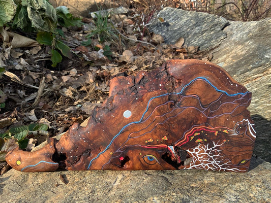 “Mycelia” Part 2 Wood Burl