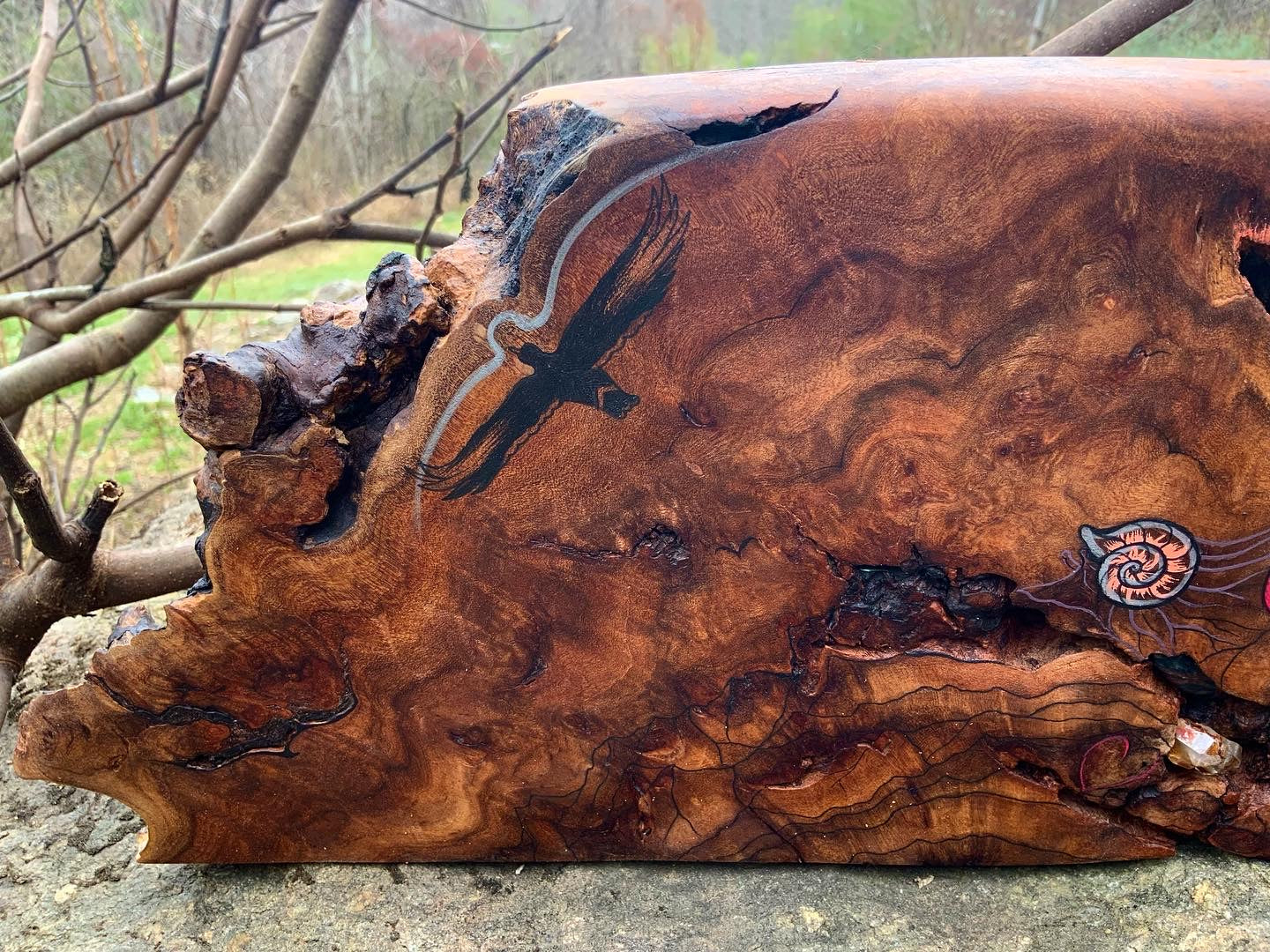 “Caves and Corridors” wood Burl