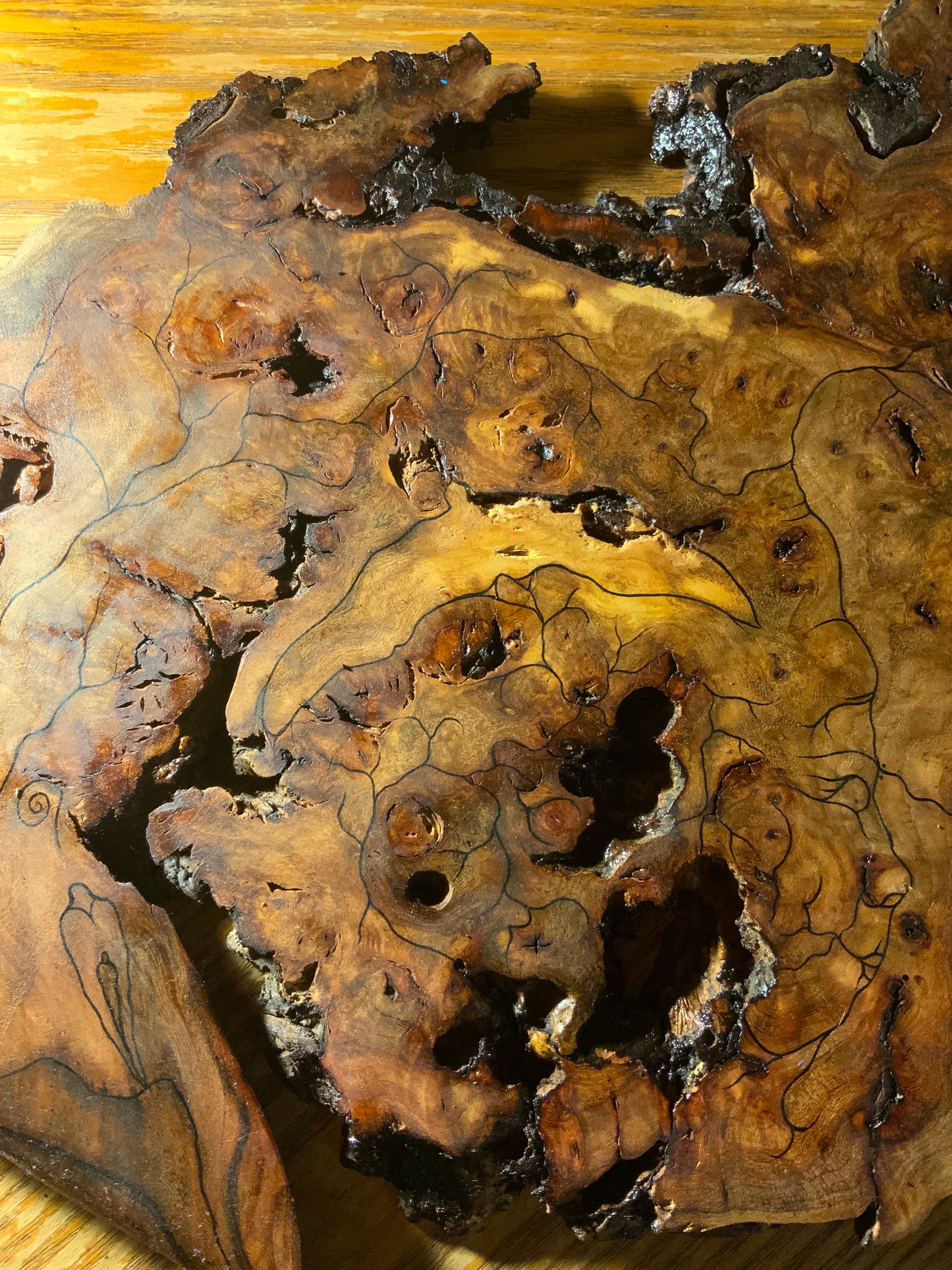 “Spiral Into The Heart” Wood Burl