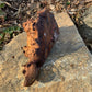 “Mycelia” Part 2 Wood Burl