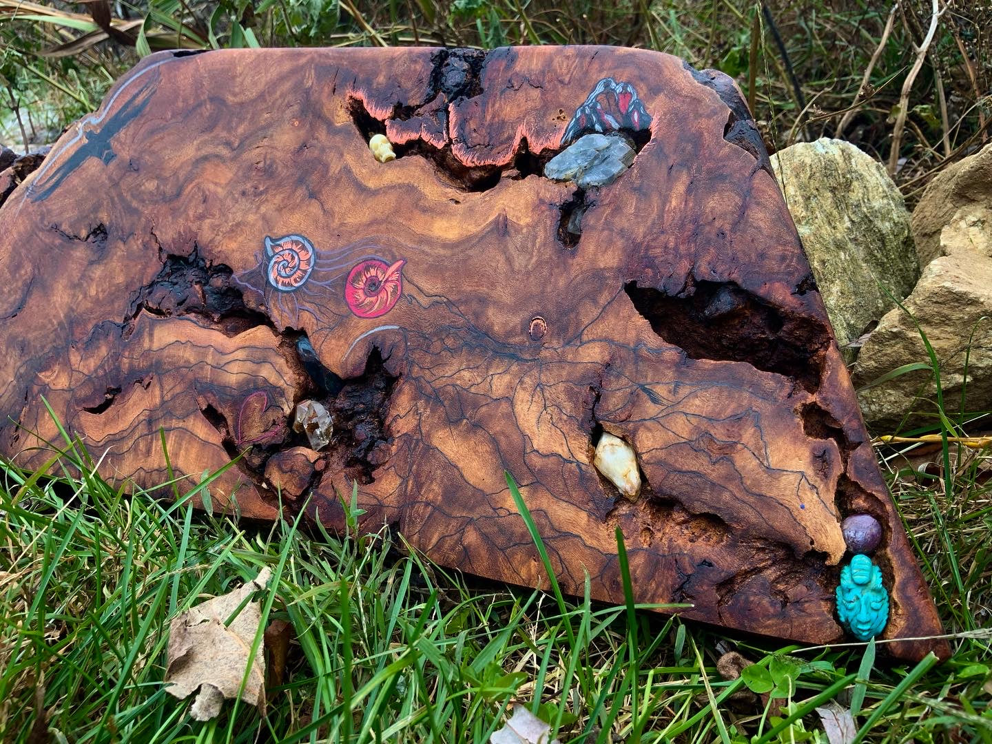 “Caves and Corridors” wood Burl