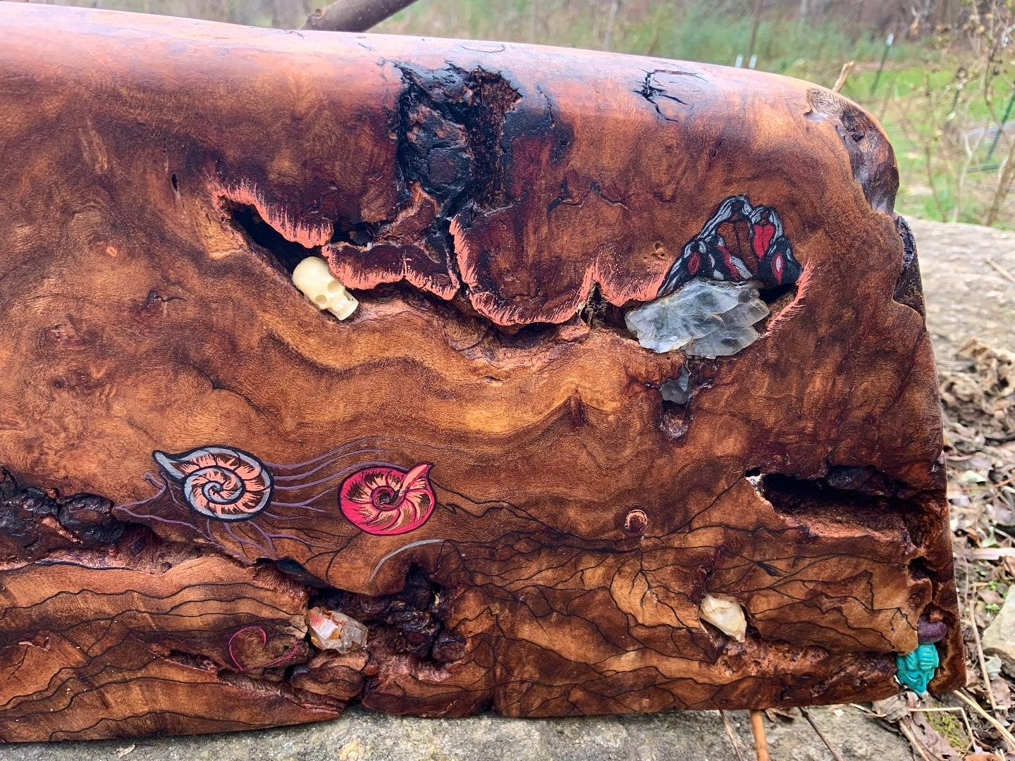 “Caves and Corridors” wood Burl