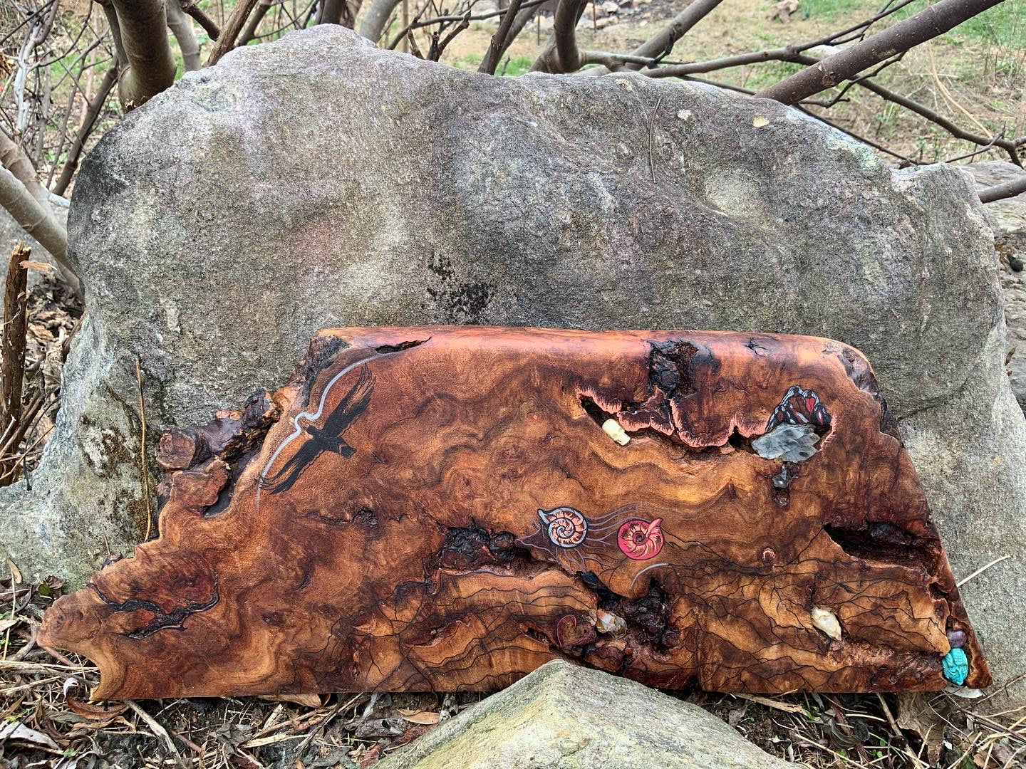 “Caves and Corridors” wood Burl